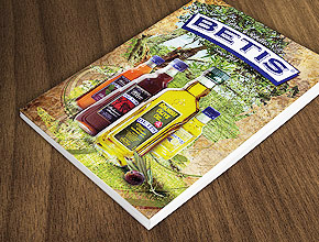 Diseño Catálogo Betis