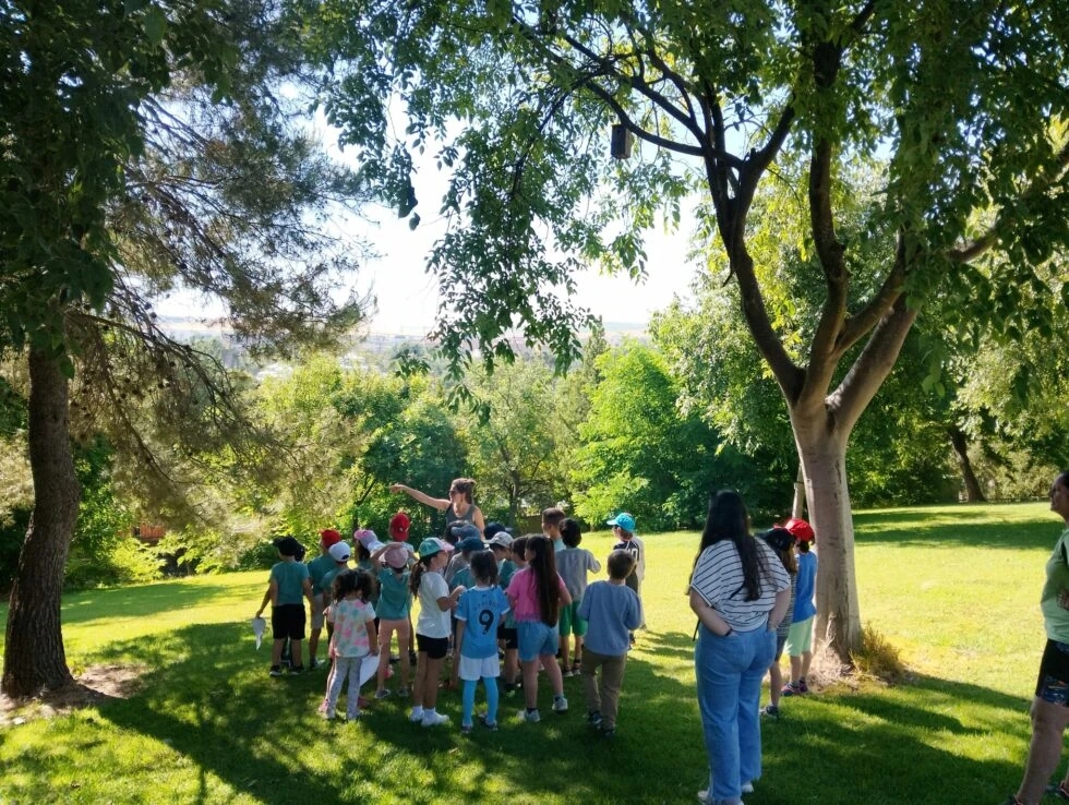 Actividad educativa de ConCiencia Forestal con escolares al aire libre